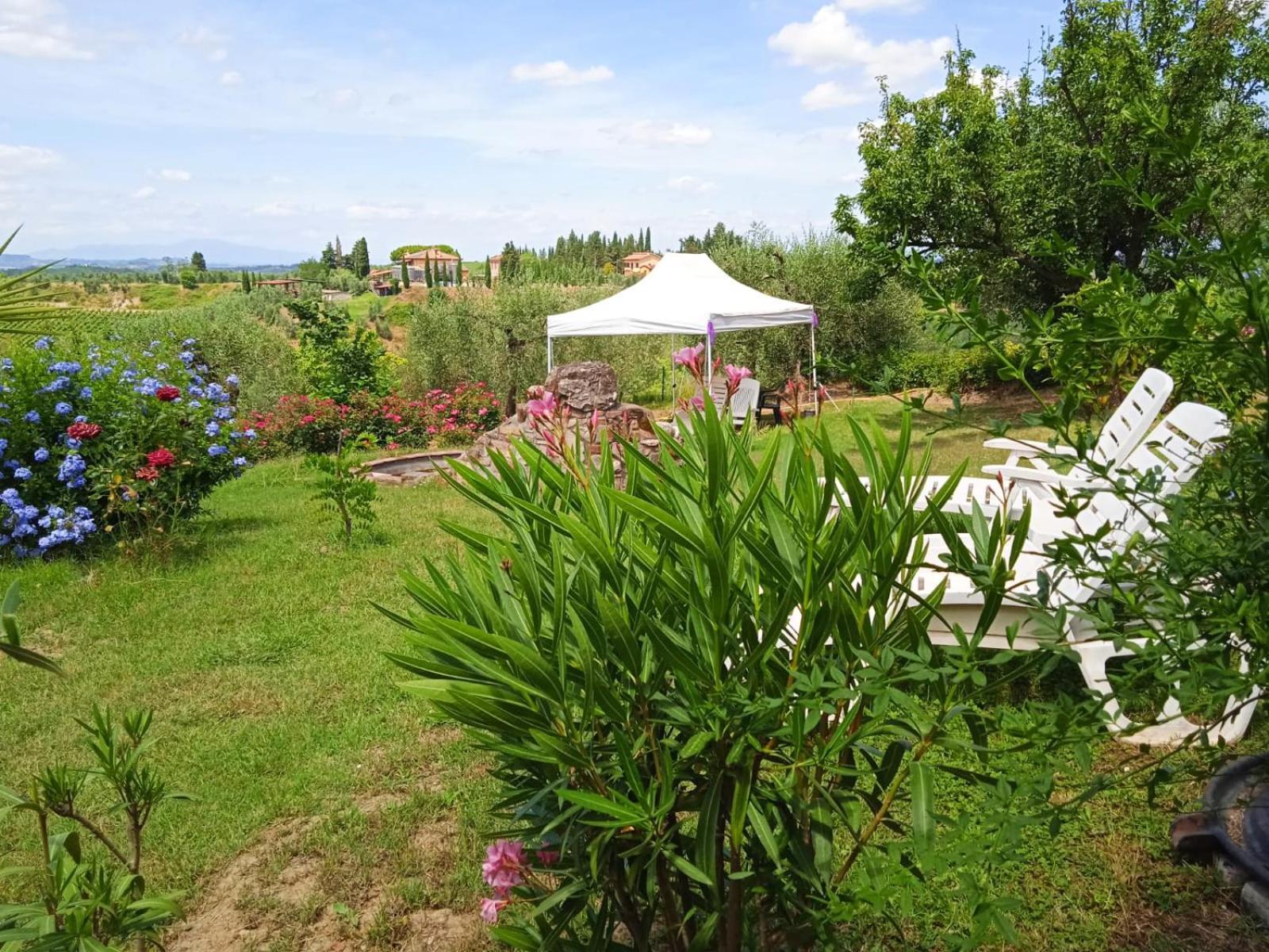 B&B Il Poggetto Montespertoli Esterno foto