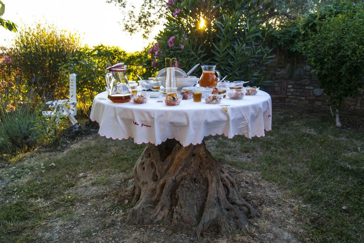 B&B Il Poggetto Montespertoli Esterno foto