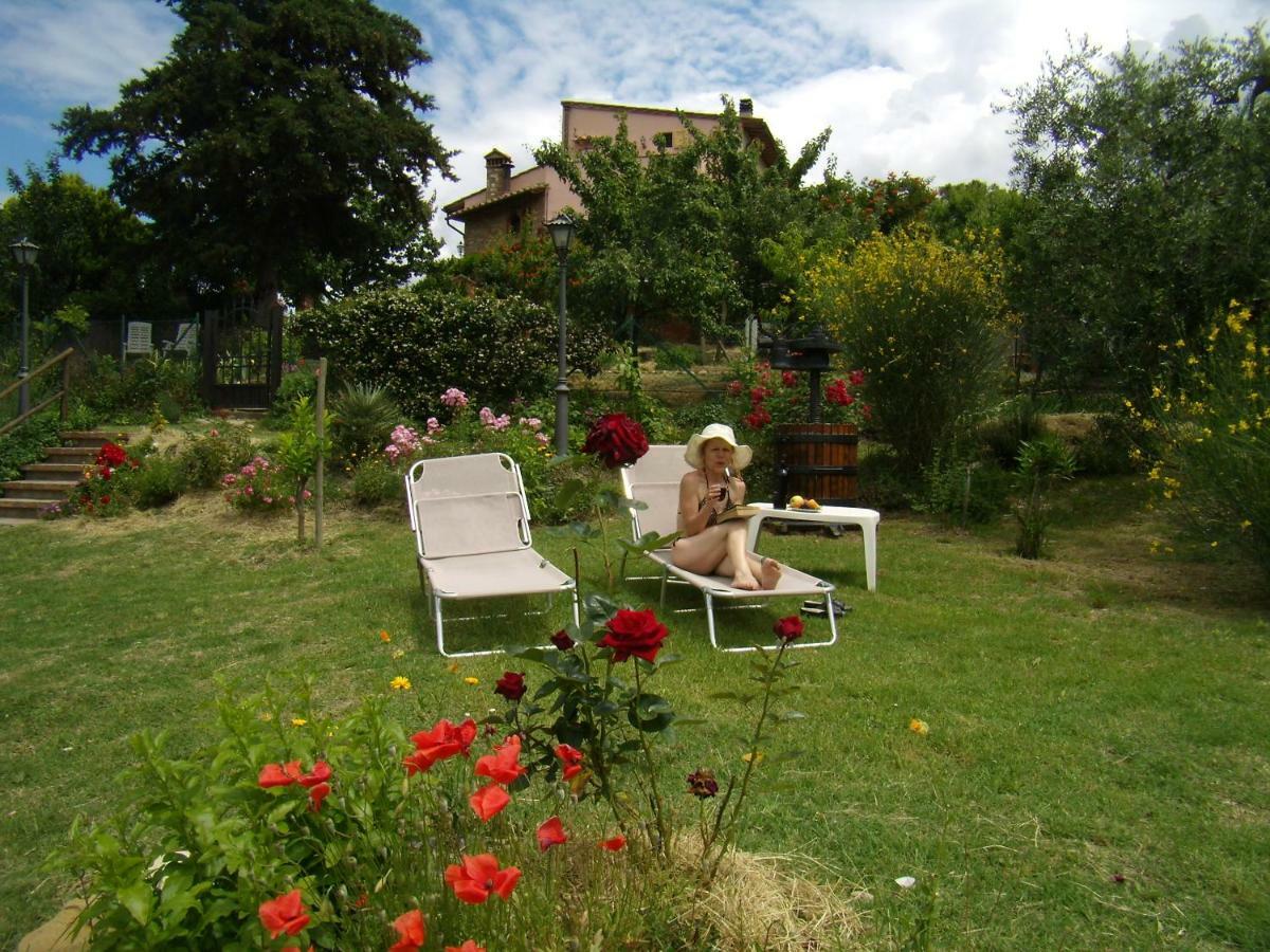 B&B Il Poggetto Montespertoli Esterno foto