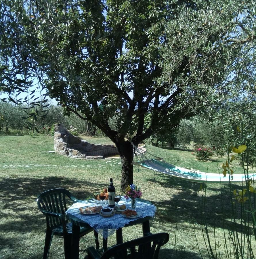 B&B Il Poggetto Montespertoli Esterno foto